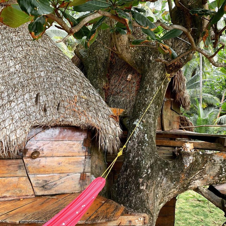 Ensuenos Natural Reserve Little Corn Island Nicaragua ภายนอก รูปภาพ